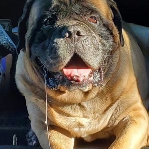 Meet your Posher, Cherie